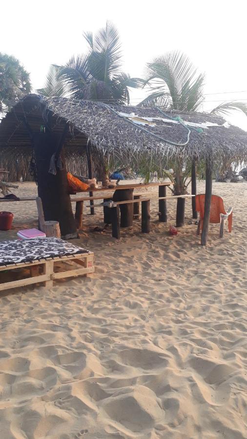 Dolphinchilling Otel Alankuda Dış mekan fotoğraf